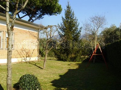 Codice: A3409