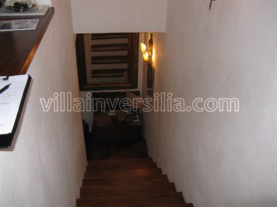 Codice: A5909