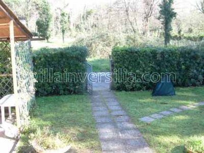 Codice: A12510